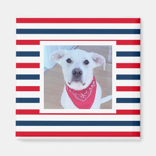 Íman Cão Cachorro Vermelho Branco Azul Strips Foto Patr