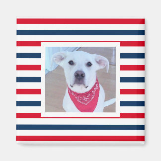Íman Cão Cachorro Vermelho Branco Azul Strips Foto Patr