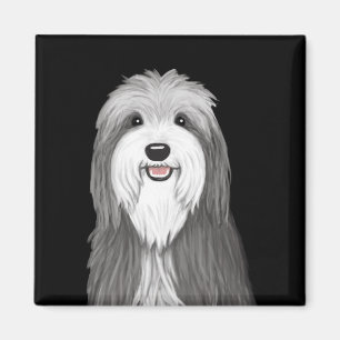 Íman Cão Cartoon Collie