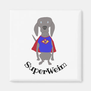 Íman Cão cinzento de Weimaraner do fantasma de