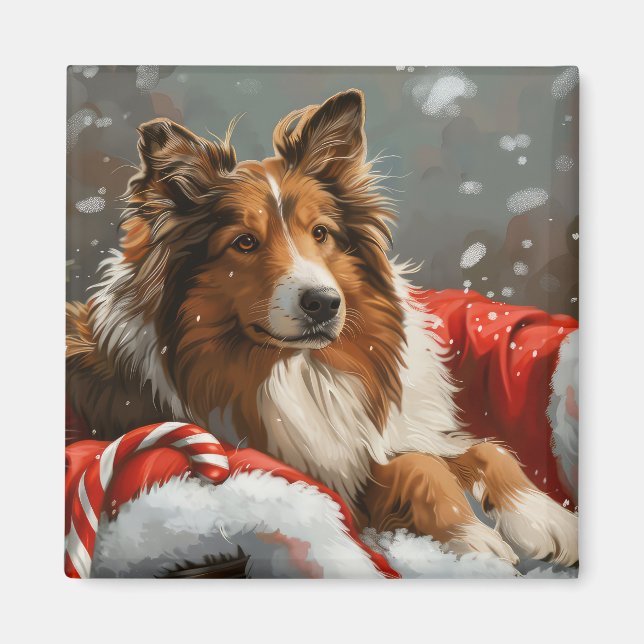 Íman Cão Collie Áspero Festa de Natal (Frente)