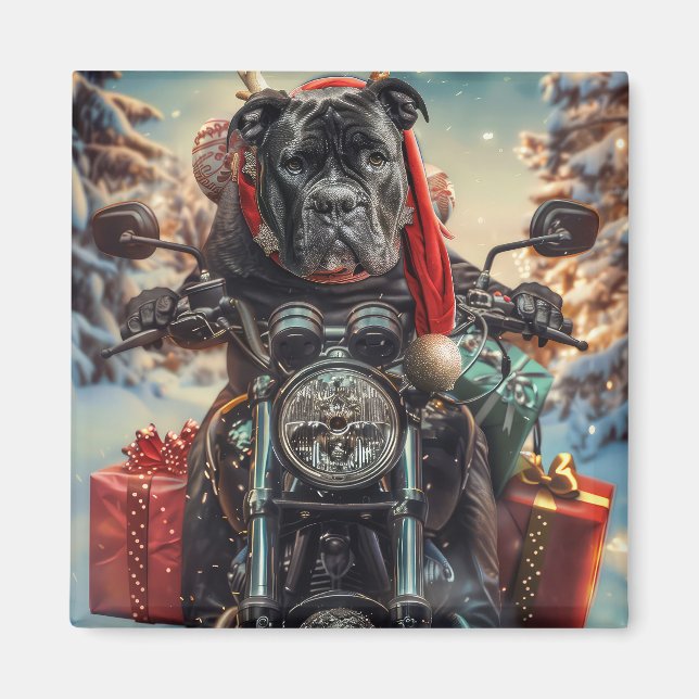 Íman Cão Corso Andando de Motocicleta Natal (Frente)