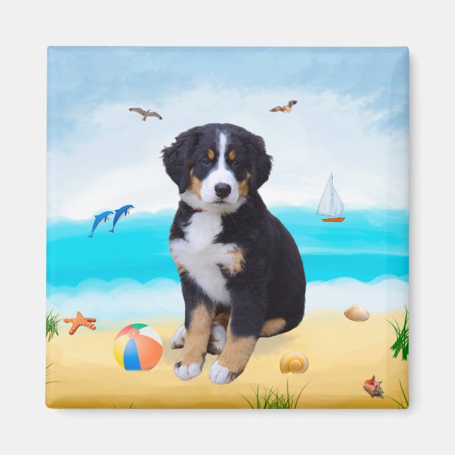 Íman Cão da Montanha Bernese na Praia (Frente)