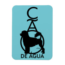 Cão d'água português em pé Cao de Água