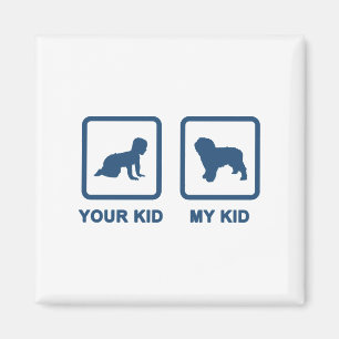 Íman Cão de água espanhol