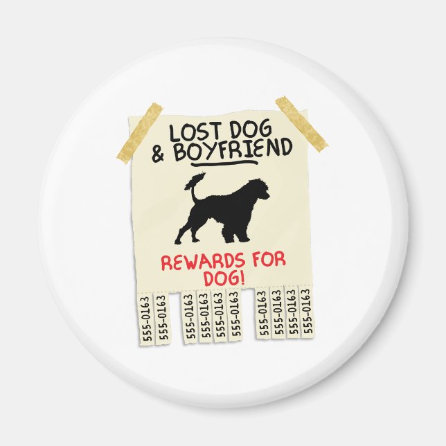 Íman Cão de Água Português (Frente)