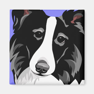 Íman Cão de border collie