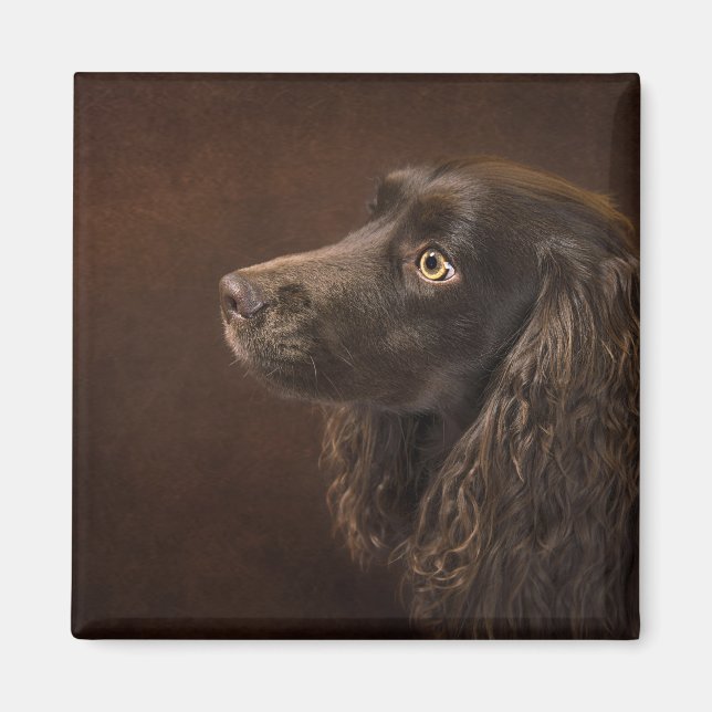 Íman Cão De Cabelo Castanho (Frente)