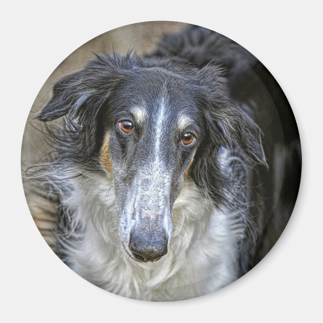 Íman Cão de Emergência Borzoi (Frente)