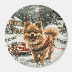 Íman Cão-de-estreia da Pomerânia de Natal