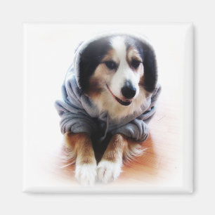 Íman Cão de Gangsta que veste o Hoodie