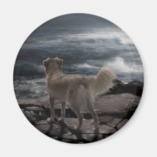 Íman Cão de mar