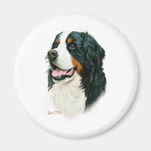 Íman Cão de montanha de Bernese