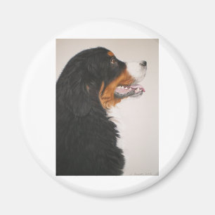 Íman Cão de montanha de Bernese 2