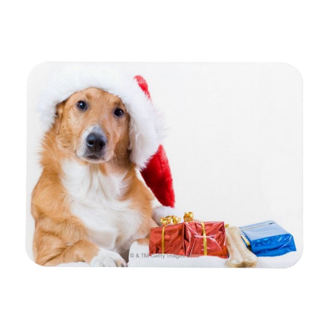 Íman Cão de Natal com chifre e presentes coloridos (Horizontal)
