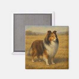 Íman Cão de Pastoreiro de Shetland