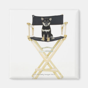 Íman Cão de Shiba Inu na cadeira do diretor