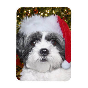 Íman Cão de Shih Tzu do Natal