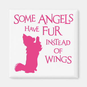ÍMAN CÃO DO ANJO