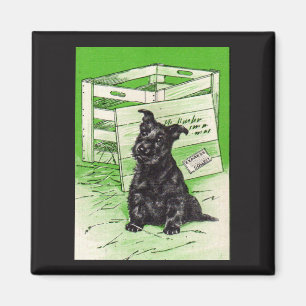 Íman Cão do Scottie pela entrega especial