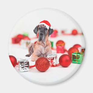 Íman Cão Dogue Alemão com Enfeites de Natal Presentes