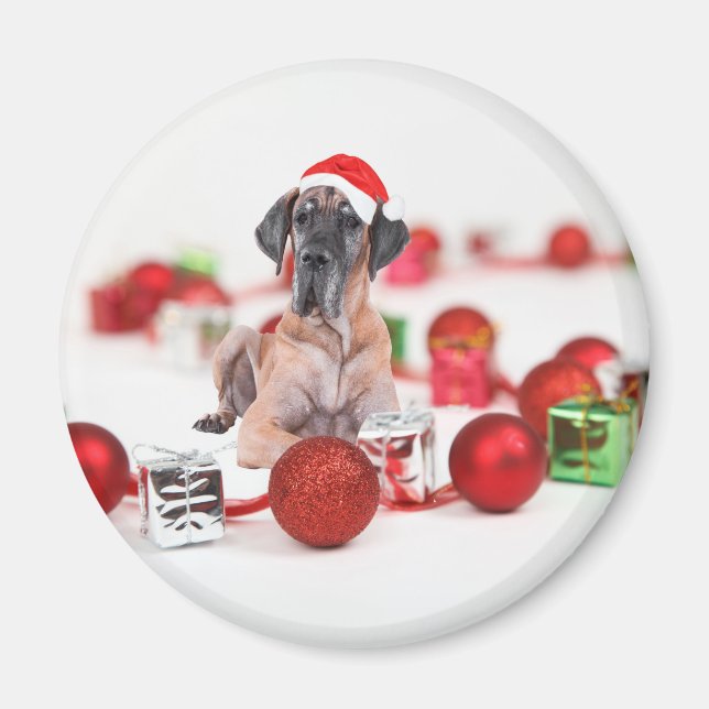 Íman Cão Dogue Alemão com Enfeites de Natal Presentes (Frente)