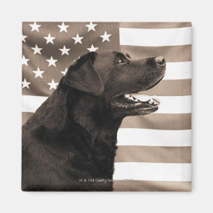 Íman Cão e bandeira americana
