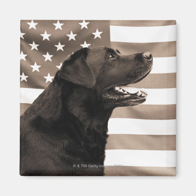 Íman Cão e bandeira americana (Frente)