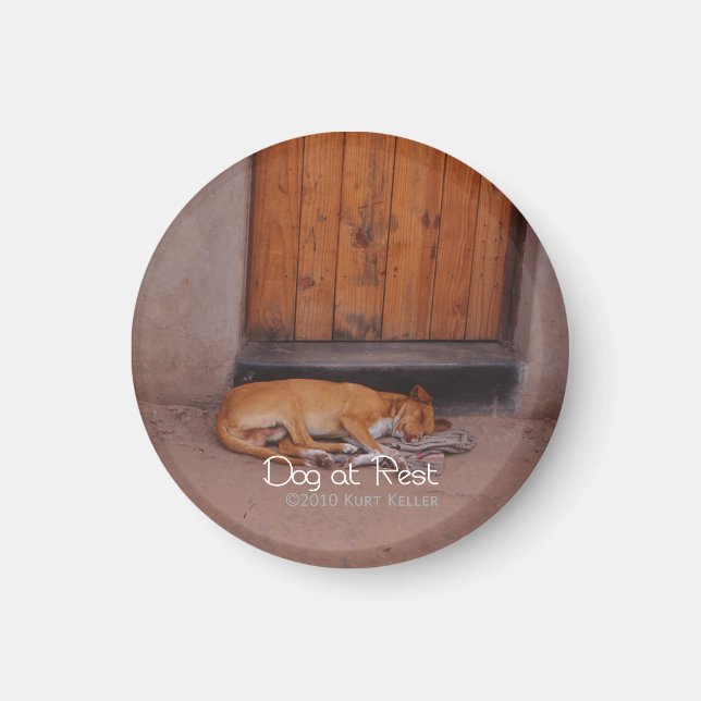 Íman Cão em Repouso (Frente)