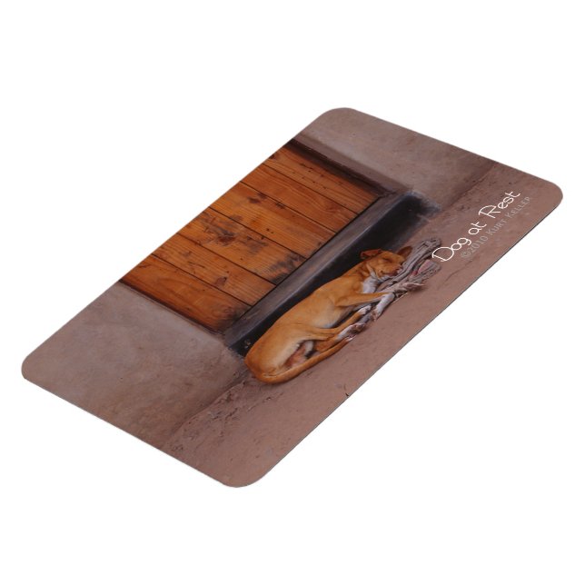 Íman Cão em Repouso (Left Side)