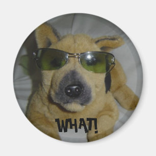 Íman Cão engraçado