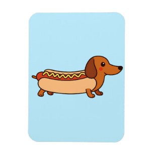 Íman Cão-gato-de-cheiro