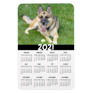 Íman Cão german shepherd   Íman de calendário personali
