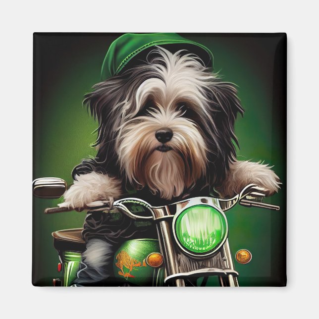Íman Cão Havanês Dirigindo Bicicleta Dia de São Patríci (Frente)