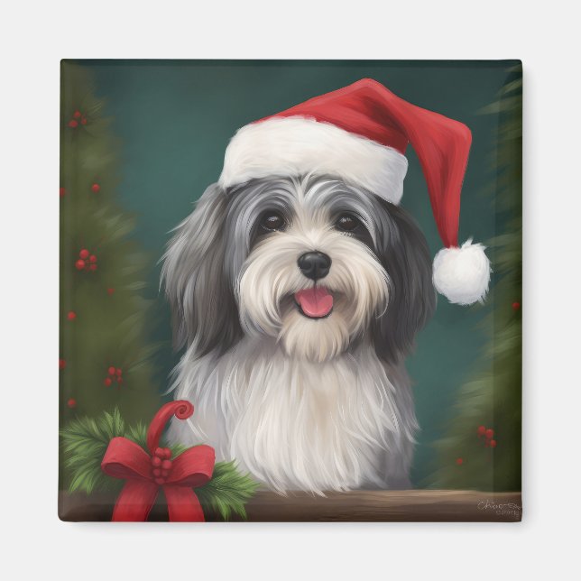 Íman Cão Havanês na Neve Natal (Frente)