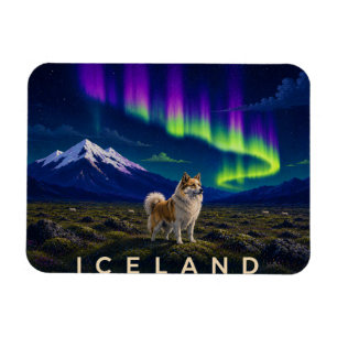 Íman Cão Islandês Submetido à Aurora Islândia Flexi 
