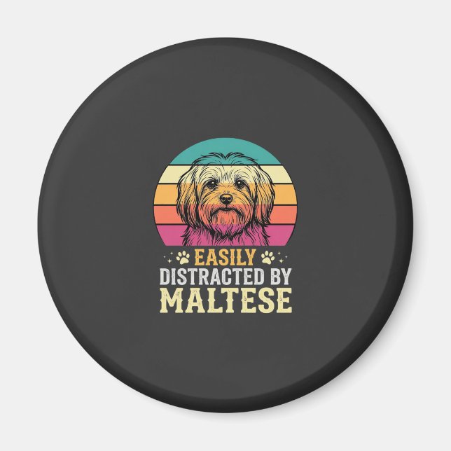 Íman Cão Maltês Retro Pôr do Sol Distraído (Frente)