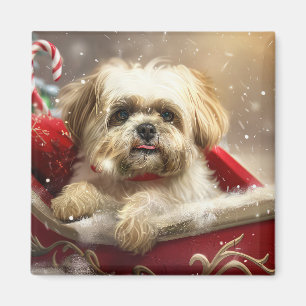 Íman Cão Malti Tzu Festa de Natal
