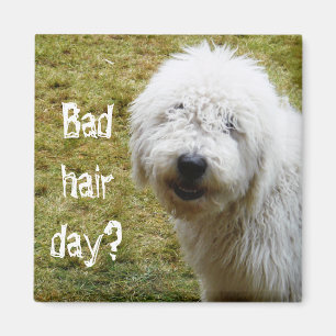 Íman Cão mau Frizzy macio do dia do cabelo