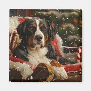 Íman Cão Montanhês Suíço Grande Natal Festivo