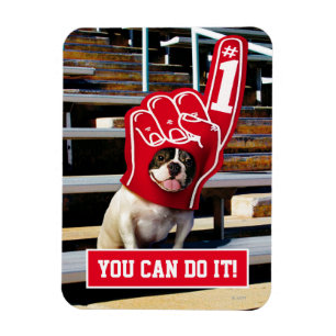 Íman Cão Na Mão De Espuma