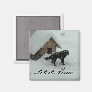 Íman Cão na neve pela casa de cachorro