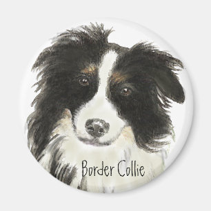 Íman Cão o de border collie