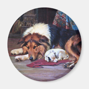 Íman Cão órfão com arte do vintage do Collie