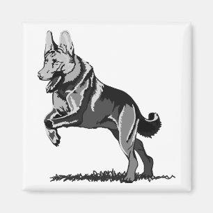 Íman Cão Pastor Alemão a saltar