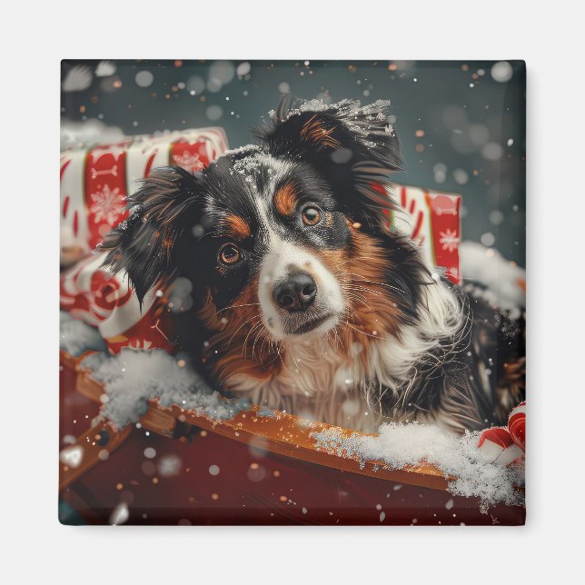 Íman Cão Pastor Australiano Festa de Natal (Frente)
