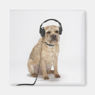 Íman Cão pequeno que veste fones de ouvido