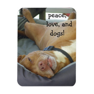 Íman Cão Pittbull - Paz, Amor e Cães