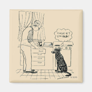 Íman Cão que obtem mais velho