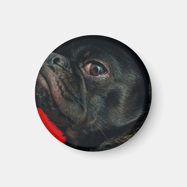 Íman cão rojo (Frente)